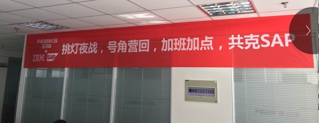 飛力達(dá)：SAP來了