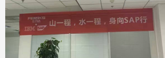 飛力達(dá)：SAP來了