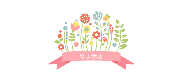 【同心·同行·同公益】第十一屆飛力達徒步活動節(jié)活動圖錦