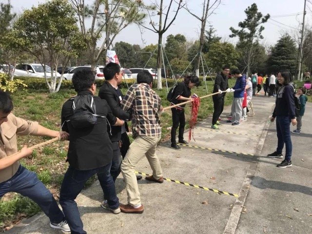 【同心·同行·同公益】第十一屆飛力達徒步活動節(jié)活動圖錦