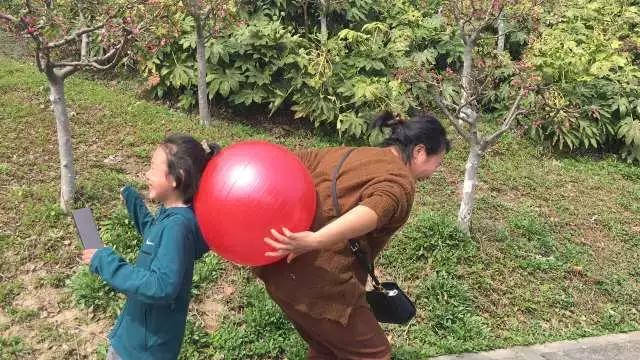 【同心·同行·同公益】第十一屆飛力達徒步活動節(jié)活動圖錦